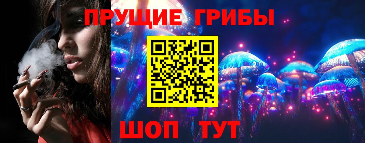 Галлюциногенные грибы GOLDEN TEACHER Новокуйбышевск