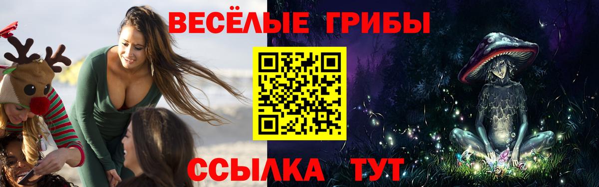 Новокуйбышевск  Галлюциногенные грибы мухоморы  Псилоцибиновые грибы MAGIC MUSHROOMS  Вход с VPN 